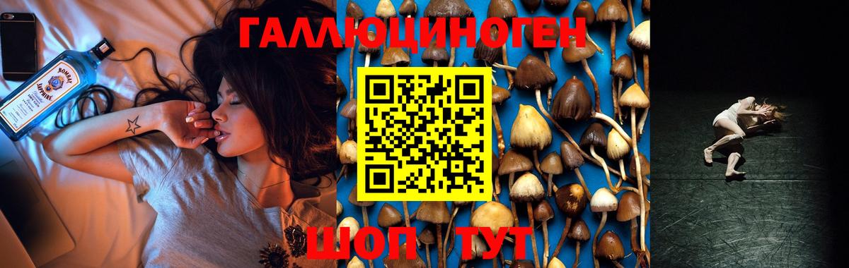 Минусинск  Галлюциногенные грибы ЛСД  Вход с VPN 